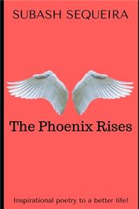Phoenix Rises
