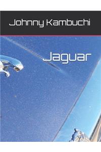 Jaguar