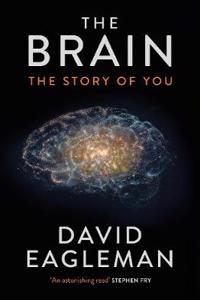 The Brain