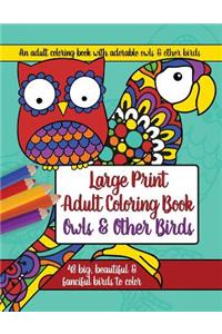 Large Print Adult Coloring Book