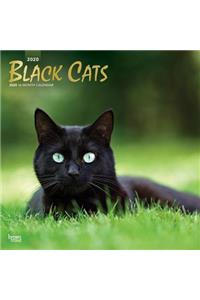 Black Cats 2020 Square Foil