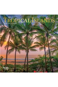 Tropical Islands 2021 Mini 7x7 Foil