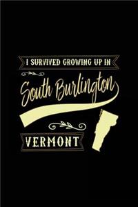 I Survived Growing Up In South Burlington Vermont