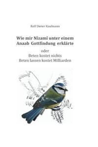 Wie mir Nîzamî unter einem Anaab Gottfindung erklärte