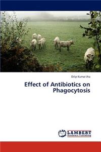 Effect of Antibiotics on Phagocytosis