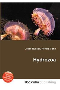 Hydrozoa