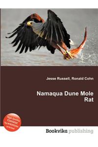 Namaqua Dune Mole Rat