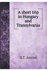 A Short Trip in Hungary and Transylvania