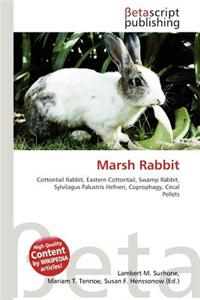 Marsh Rabbit