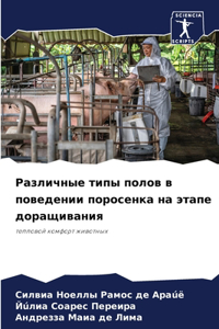 Различные типы полов в поведении поросенк