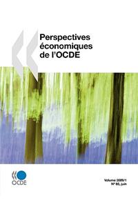 Perspectives économiques de l'OCDE, Volume 2009 Numéro 1