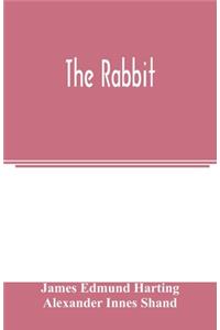 rabbit