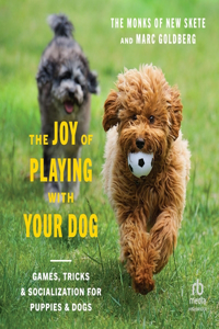 Joy of Playing with Your Dog