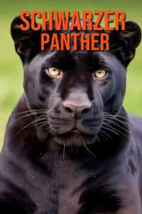Schwarzer Panther
