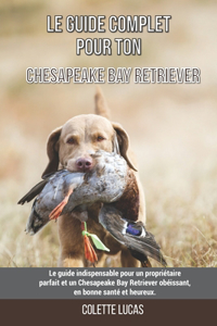 Le guide complet pour ton Chesapeake Bay Retriever