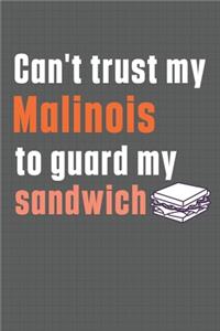 Can't trust my Malinois to guard my sandwich