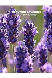 Beautiful Lavender Full-Color Picture Book