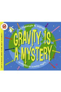Gravity Is a Mystery