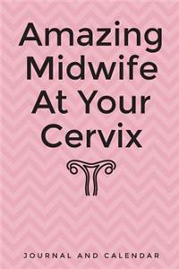 Amazing Midwife At Your Cervix