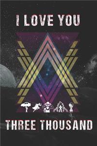 I Love You Three Thousand
