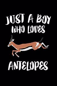 Just A Boy Who Loves Antelopes