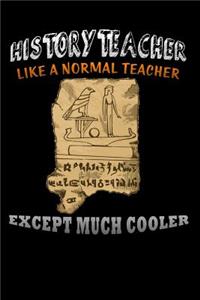 history teacher like a normal teacher except much cooler