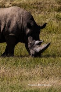 Rhinocéros Carnet de notes