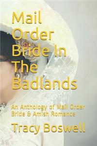 Mail Order Bride In The Badlands