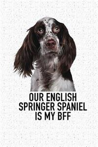 Our English Springer Spaniel Is My Bff