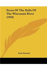 Ferns Of The Dells Of The Wisconsin River (1910)