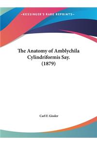 The Anatomy of Amblychila Cylindriformis Say. (1879)