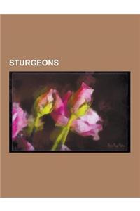 Sturgeons: Acipenser, Amur Sturgeon, Atlantic Sturgeon, Baikal Sturgeon, Beluga (Sturgeon), Chinese Sturgeon, Dabry's Sturgeon, E