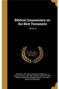 Biblical Commentary on the New Testament; Volume 6