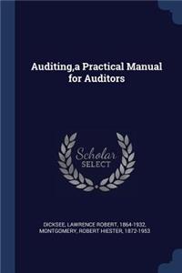 Auditing, a Practical Manual for Auditors