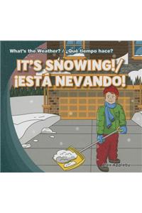 It's Snowing! / ¡Está Nevando!