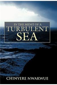 In The Midst Of A Turbulent Sea