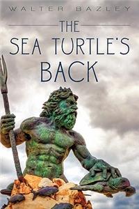 Sea Turtle's Back