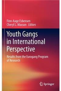 Youth Gangs in International Perspective