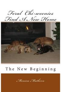 Feral Chi-weenies Find A New Home