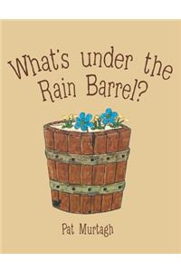 What's Under the Rain Barrel?