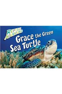 Grace the Green Sea Turtle