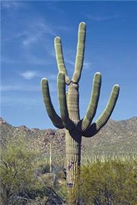 The Saguaro Cactus Journal