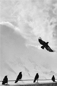 Blackbirds in Black & White Journal