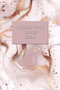Accounting Ledger Book