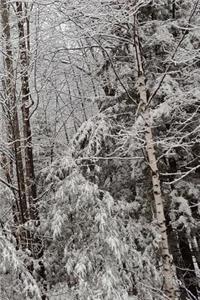 Pretty Winter Journal