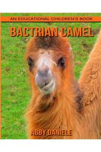Bactrian camel! An Educational Children's Book about Bactrian camel with Fun Facts & Photos
