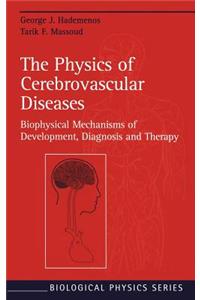 Physics of Cerebrovascular Diseases