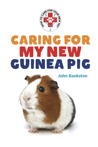 Caring for My New Guinea Pig
