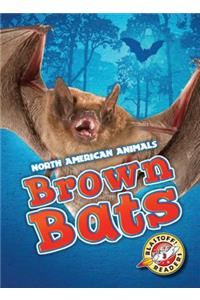 Brown Bats