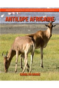 Antilope Africaine